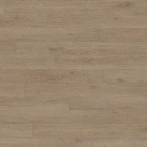 Haro Tritty 100 Loft 4V Дуб Венето Кремовый 538719