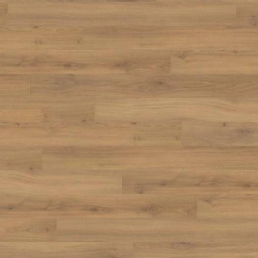 Haro Tritty 100 Loft 4V Дуб Эмилия Медовый 538720