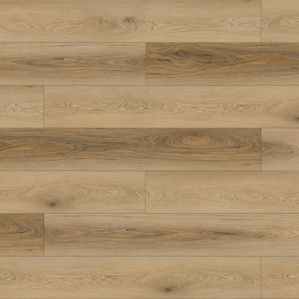 FLOORaHOUSE SPC CruzeC496